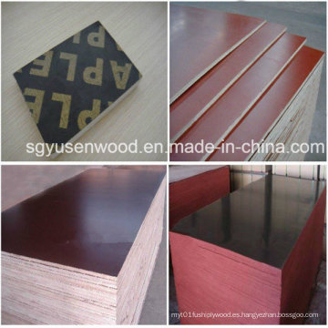 1220 * 2440mm WBP Constuction Film Faced Plywood